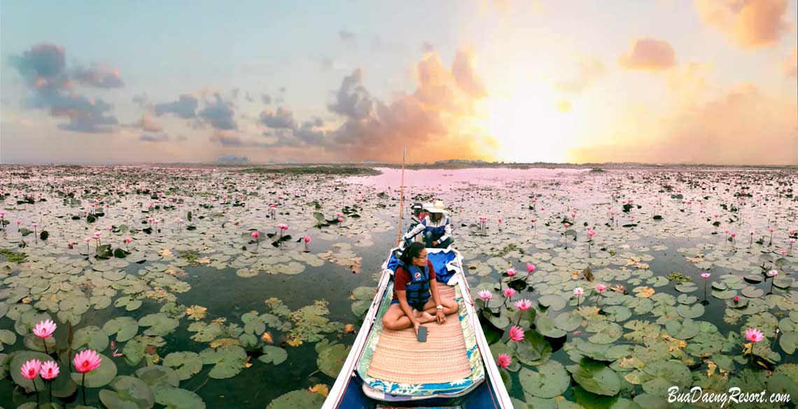 beautiful scenery on a sunrise cruise on the red lotus sea